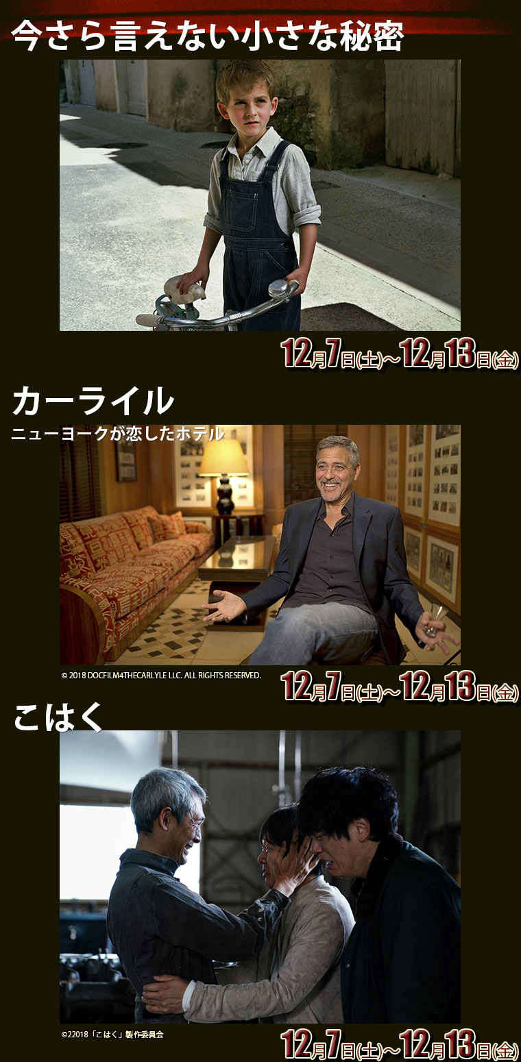 今さら言えない小さな秘密,カーライル ニューヨークが恋したホテル,こはく