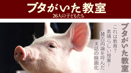 ブタがいた教室