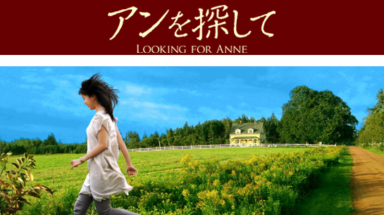 アンを探して　11/13～11/26