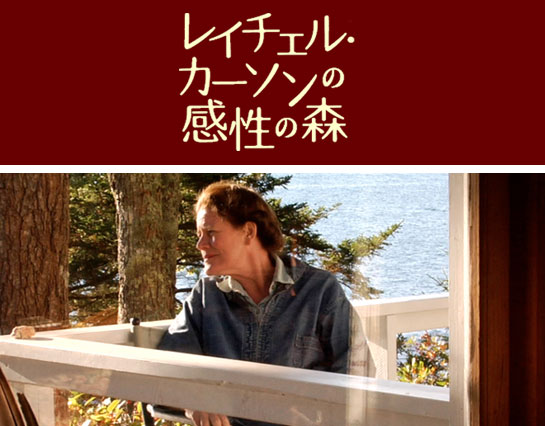 レイチェル・カーソンの感性の森