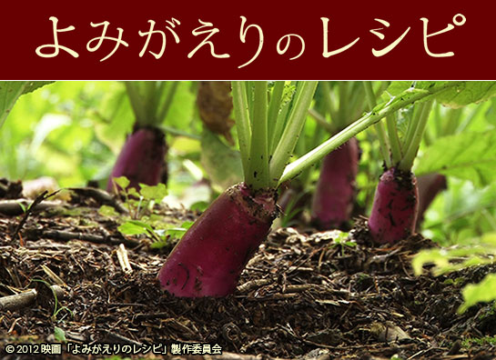 『よみがえりのレシピ』