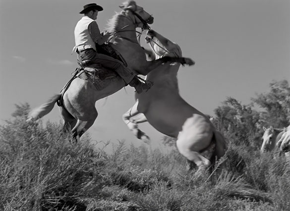 赤い風船 4K／白い馬 4K、画像11