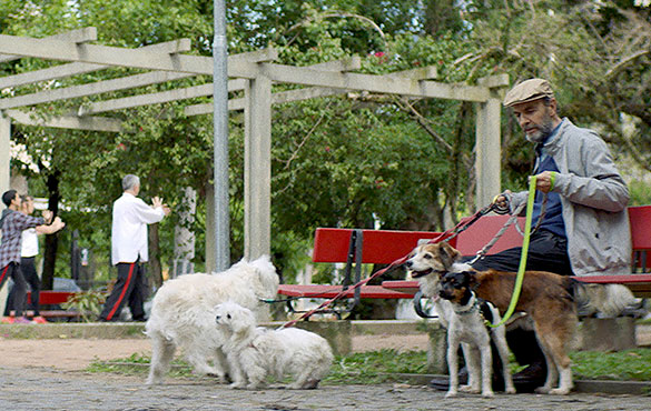 ぶあいそうな手紙、画像6