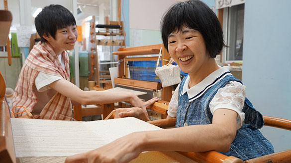 フジヤマコットントン、画像1