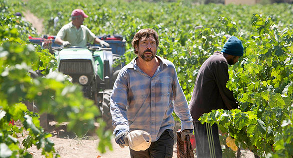 誰もがそれを知っている、画像7