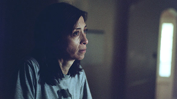 セイント・フランシス、画像14