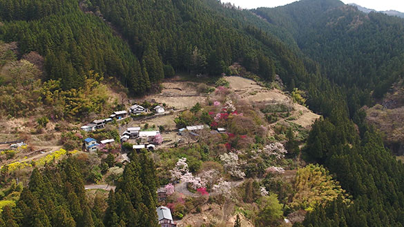 花のあとさき　ムツばあさんの歩いた道、画像2