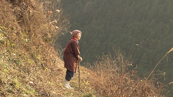 花のあとさき　ムツばあさんの歩いた道、画像3