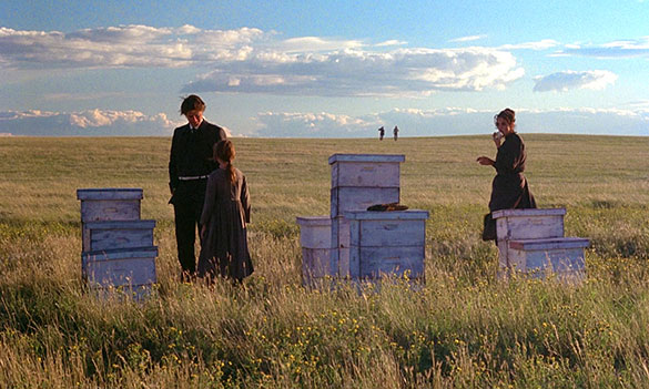 天国の日々 4K、画像8