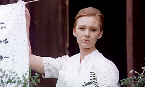 ひまわり 50周年HDレストア版、画像7