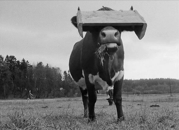 百年の夢【デジタル・リマスター版】、画像8