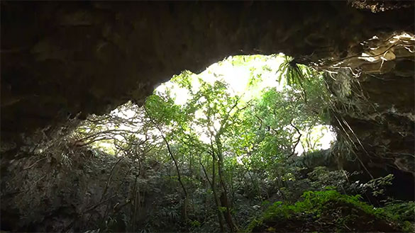生きろ 島田叡ー戦中最後の沖縄県知事、画像5