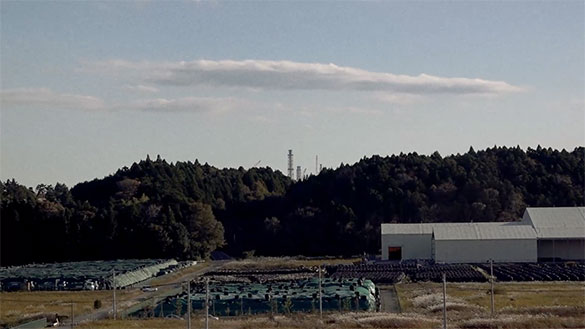 生きて、生きて、生きろ。、画像10