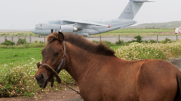 戦雲（いくさふむ）、画像4