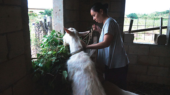 戦雲（いくさふむ）、画像5