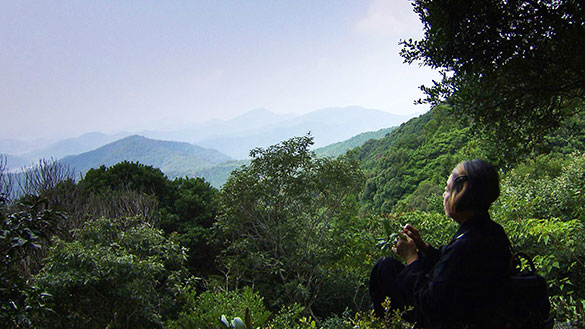 神宮希林わたしの神様