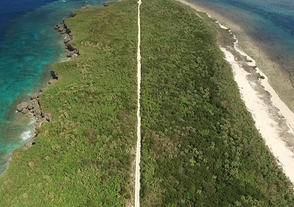 米軍(アメリカ)が最も恐れた男 カメジロー不屈の生涯、画像5