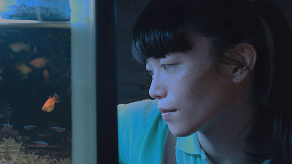 片袖の魚、画像メイン