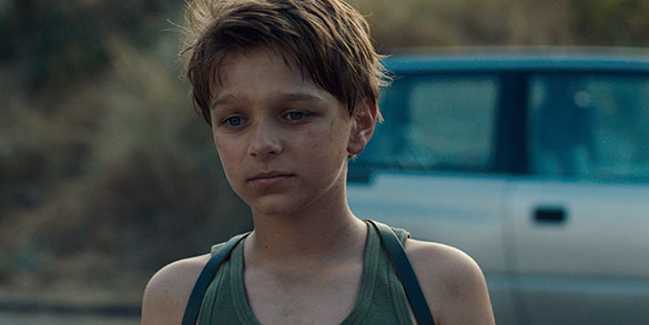 恐竜が教えてくれたこと、画像14