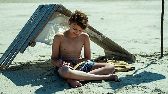 恐竜が教えてくれたこと、画像4