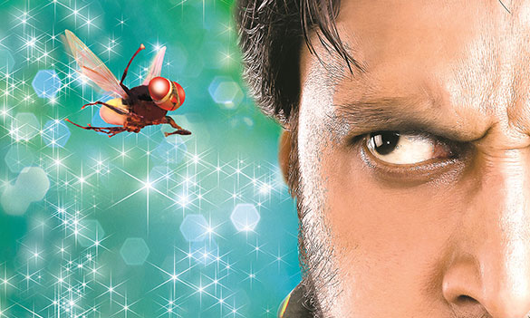 マッキー、画像メイン