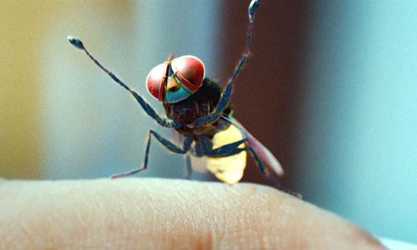 マッキー、画像2