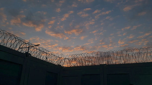 ミッドナイト・トラベラー、画像5