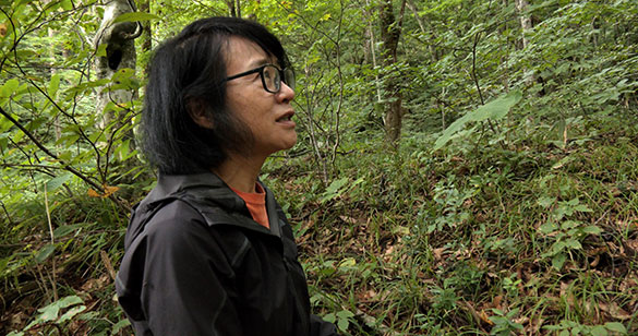 森に聴くListen to the Forest、画像10