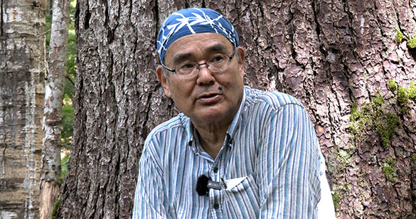 森に聴くListen to the Forest、画像2