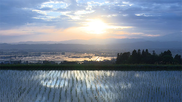 おだやかな革命