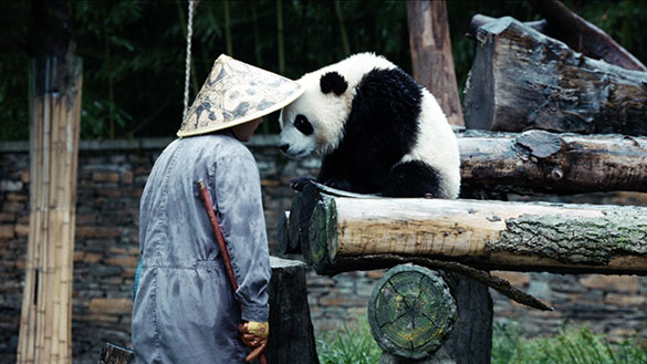 パンダのすごい世界、画像4