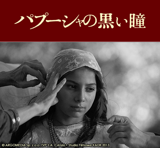 『パプーシャの黒い瞳』