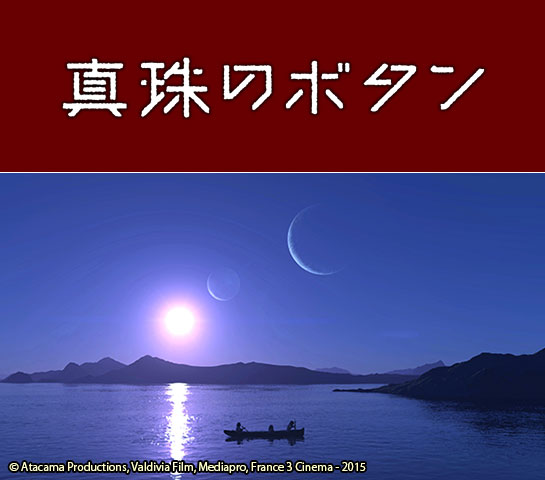 『真珠のボタン』