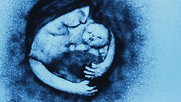 プリズン・サークル、画像4