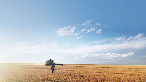 食の安全を守る人々、画像メイン