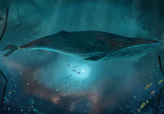 ソング・オブ・ザ・シー 海のうた