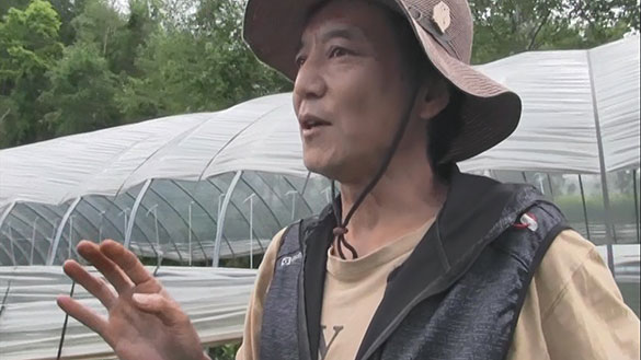 タネは誰のもの、画像4