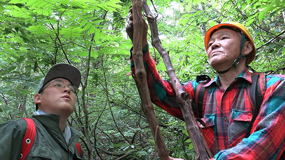 山人（やまんど）－縄文の響きが木霊する－、画像メイン