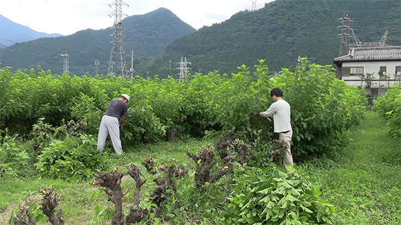 山里は持続可能な世界だった、画像4