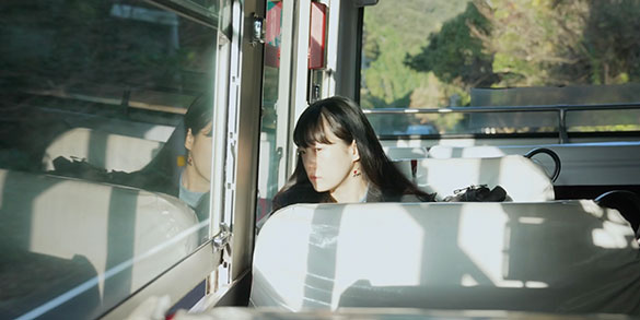 椰子の高さ、画像メイン