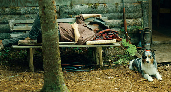 やすらぎの森、画像12