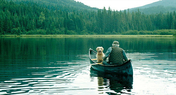 やすらぎの森、画像13