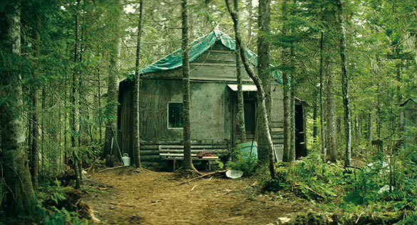 やすらぎの森、画像15