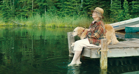 やすらぎの森、画像6